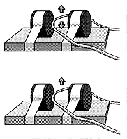 Bilden visar hur en strömförande tråd rör sig olika magnetfält. Illustration.
