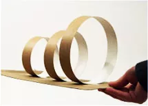 Skiva med tre ringar i olika storlek på. Foto.