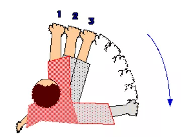 Teckning ovanifrån över hur man ska flytta sin knutna näve för att uppskatta dess vinkel. Illustration.