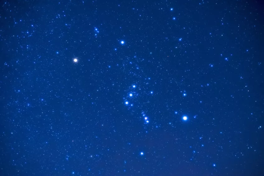 Stjärnbilden Orion på natthimlen. Foto.